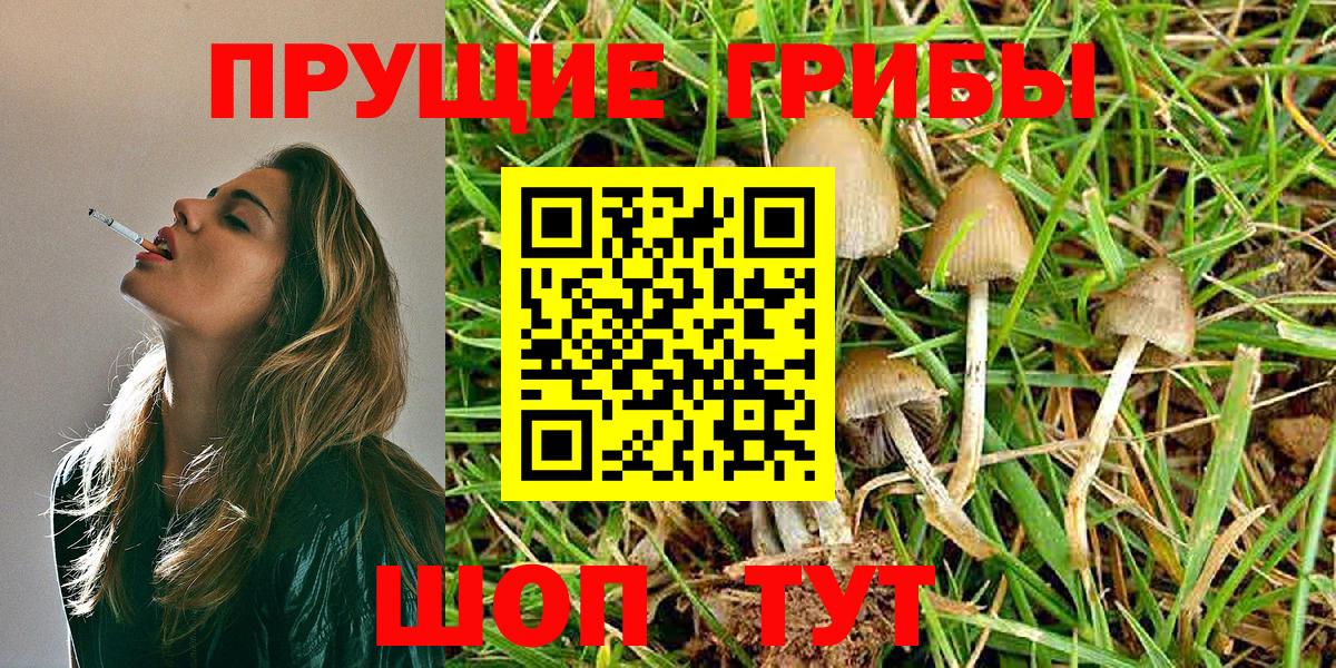 Волжский  как найти закладки  Вход с VPN  Псилоцибиновые грибы MAGIC MUSHROOMS 